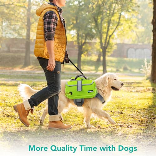 Best Dog Backpacks For Camping