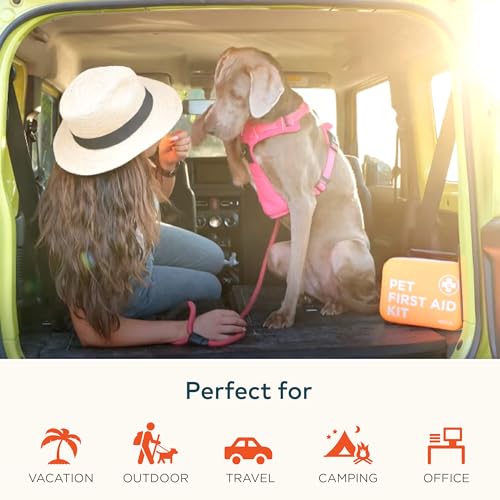 Best Pet Travel Essential For Cat And Dog