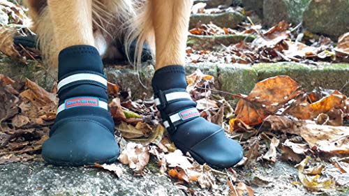 Top 10 Best Dogs Boots Paw Protectors