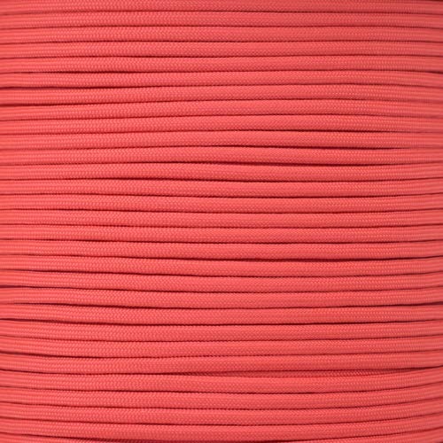 Top 5 Most Popular New Accessories For Pets