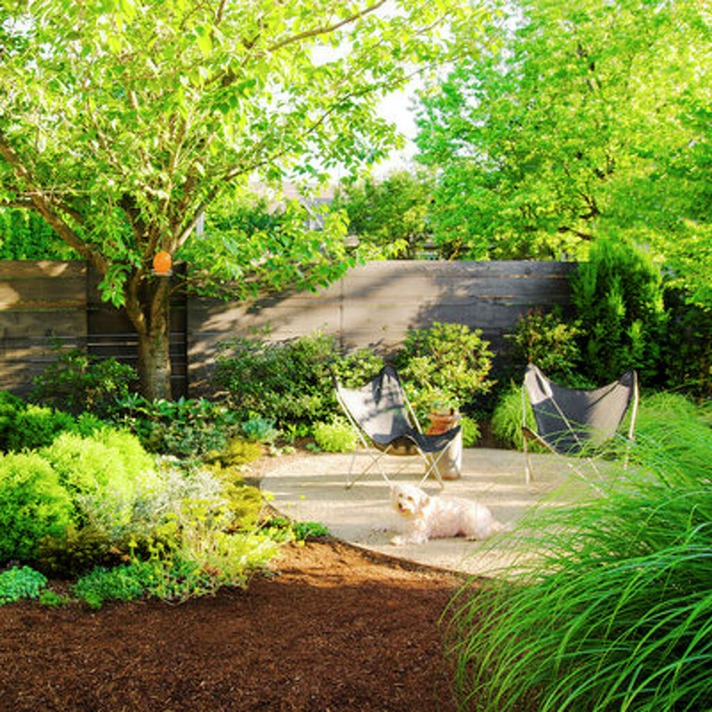 How To Create A Pet Friendly Garden?