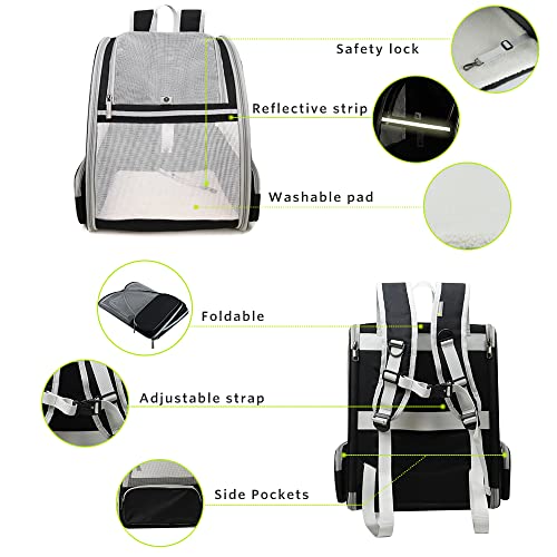 Best Cat Backpack Carrier Reviews