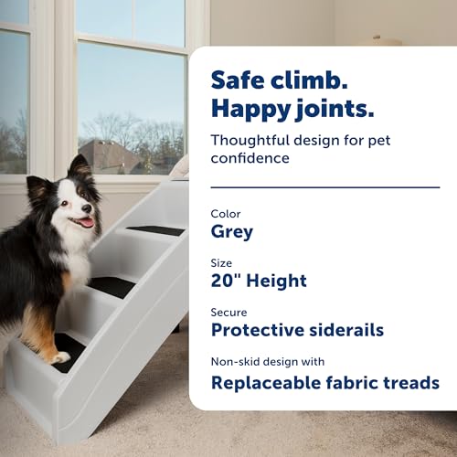 Best Pet Stairs For Large Dogs Outdoor