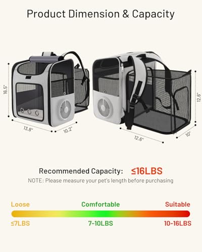 Top 10 Best Cooling Fan For Cats