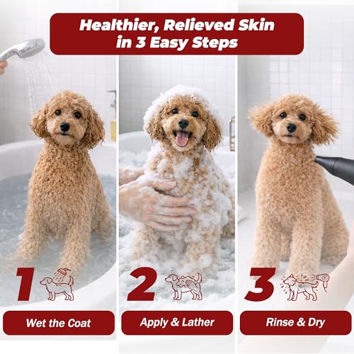 Best Natural Dog Shampoo For Yeast Infection On Skin