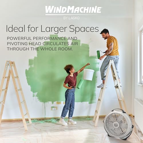 Best Fan For Circulating Air With Pets