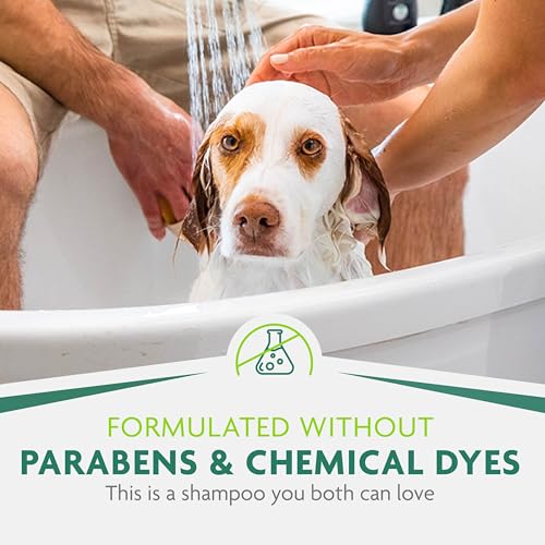 Best Deshedding Shampoo For Short Hair Dogs