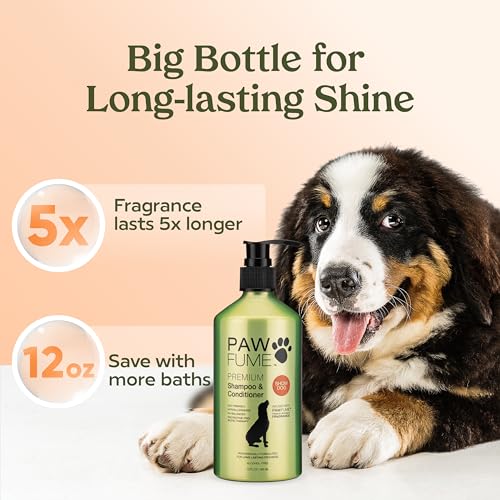 Best Deshedding Shampoo And Conditioner For Dogs