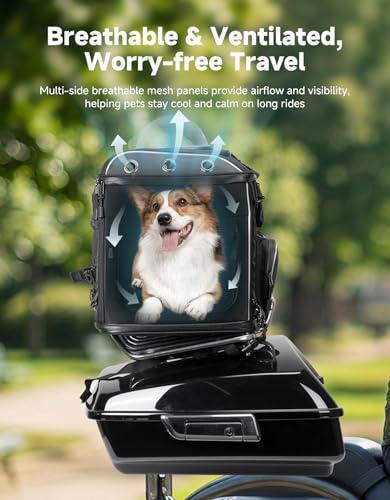 Heavy Duty Motorcycle Seats For Pets