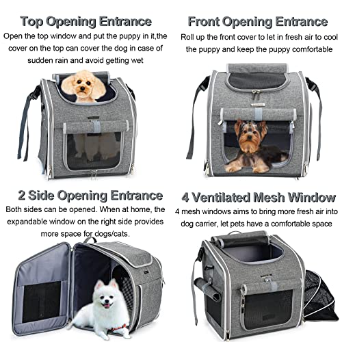 Bicycle Basket For Dogs 20 Lbs Seatbelt