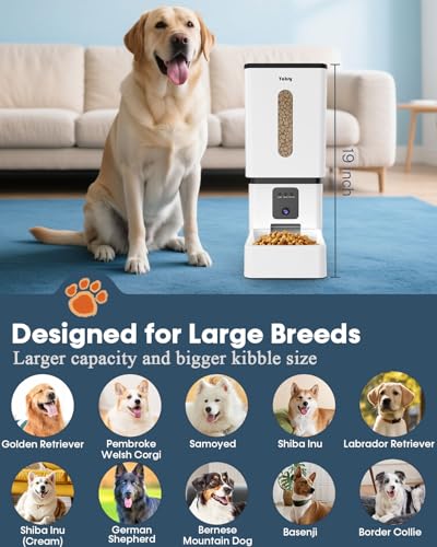 Automatic Pet Feeder Smart Food Dispenser For Dogs