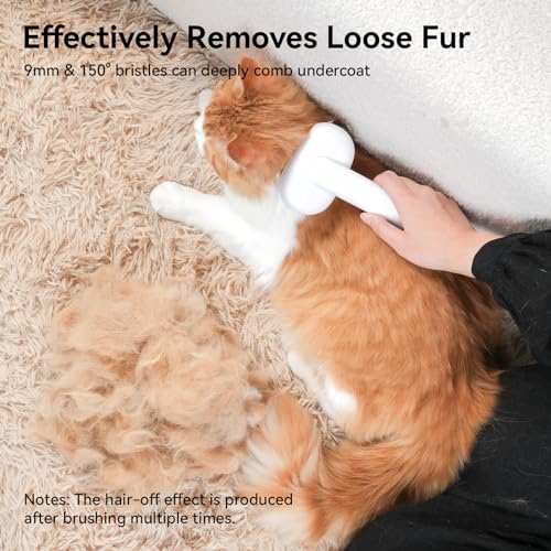 Top 5 Best Cat Brush For Shedding Short Hair