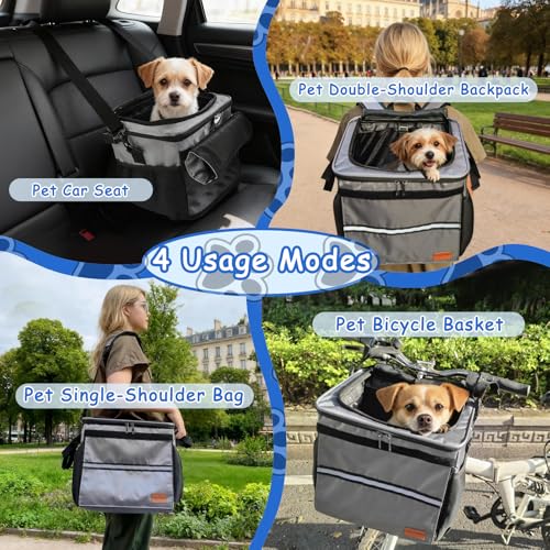 Top 5 Best Pet Carriers For Motorbikes