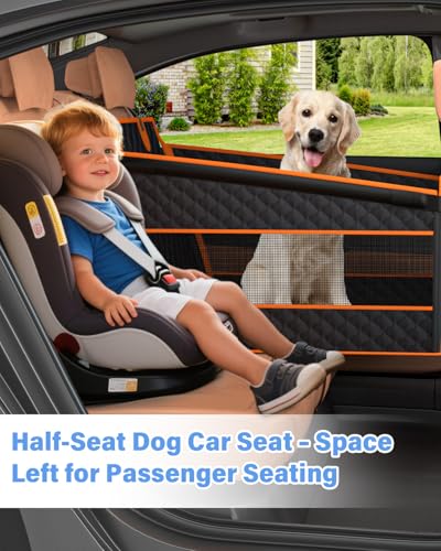 Top Best Big Dog Motorcycle Passenger Seat
