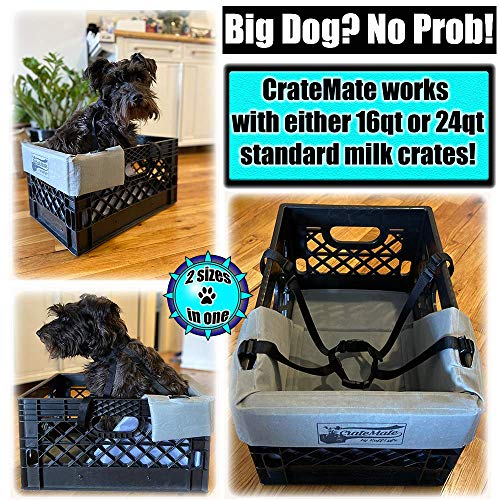 Heavy Duty Bike Pet Carriers For Dogs