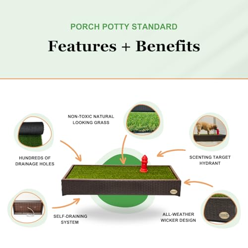 Best Porch Potty For Dogs Reviews