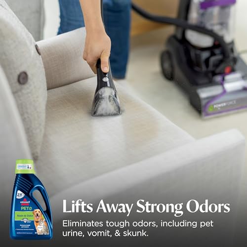 Bissell Pet Stain And Odor Remover Reviews