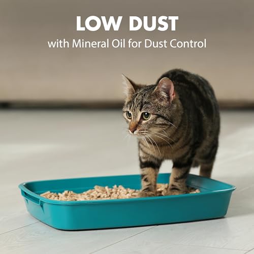 Best Natural Clumping Cat Litter Reviews