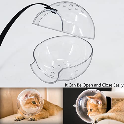 Best Cat Helmet Muzzle For Grooming Reviews