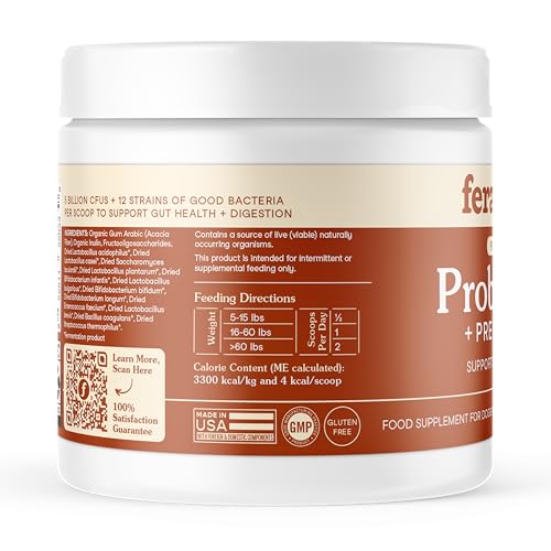 Top 5 Best Pet Supplements For Cats