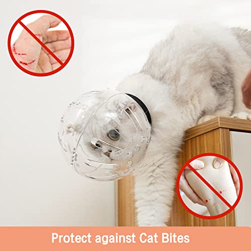 Top 5 Best Cat Helmet For Nail Trimming