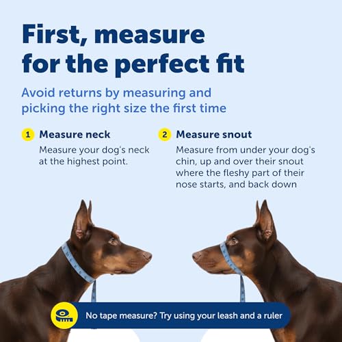 Best Anti Pull Dog Lead UK For Large Dogs