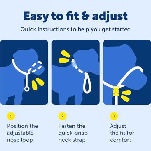 Best Gentle Leader Dog Harness Review