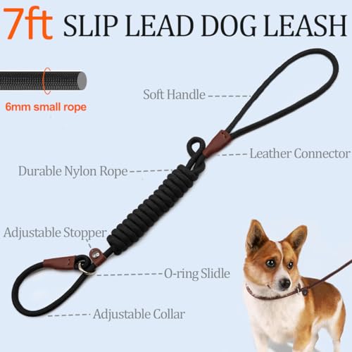 Best Slip Lead Dog Leash For Small Dogs Reviews