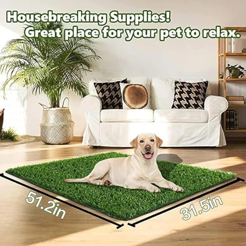Best Material For Outdoor Dog Potty Area