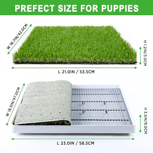 Top 5 Best Training Sod For Porch Potty