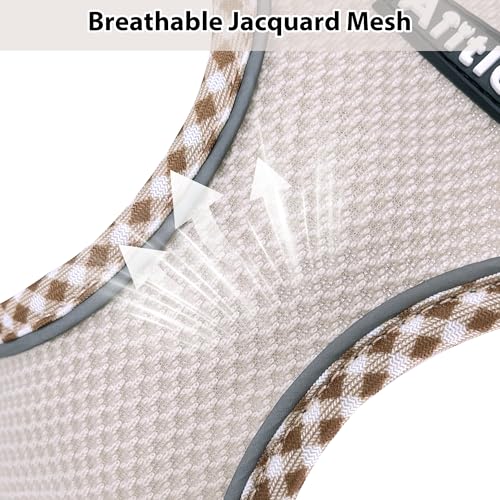 Top 5 Best Dog Harnesses For Small Dogs