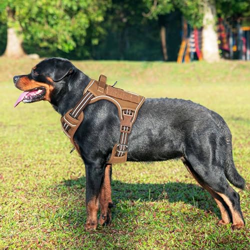 Best Heavy Duty Dog Harness For Large Dogs