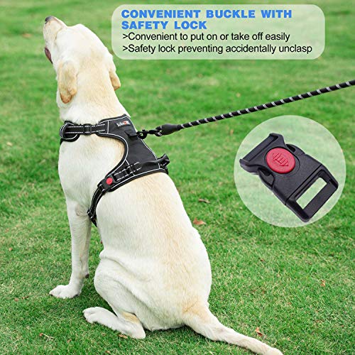 Best Dog Harnesses For Large Dogs With Leash
