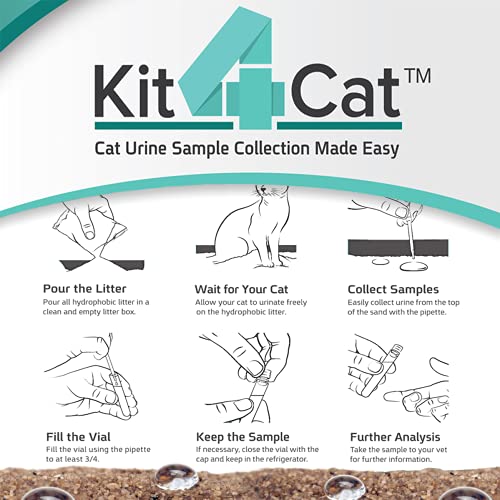 Best Kit Cat Soya Clump Cat Litter Review