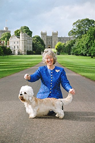 Top 5 Best Professional Dog Show Leads