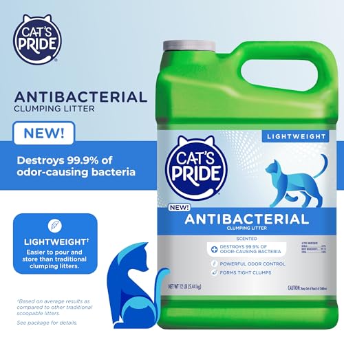 Cheapest Clumping Cat Litter Reviews Australia
