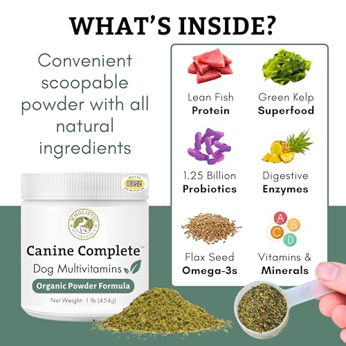 Best Pet Supplements For Dogs Canine Reviews