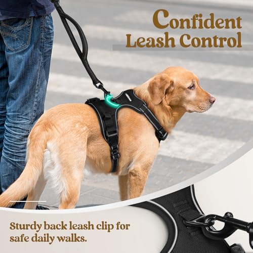 Best Dog Harnesses For Medium Dogs No Pull