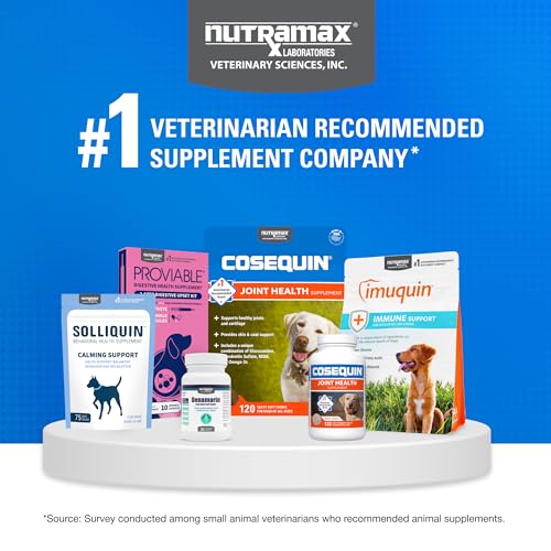 Best Joint Health Supplement Tools For Senior Pets Reviews