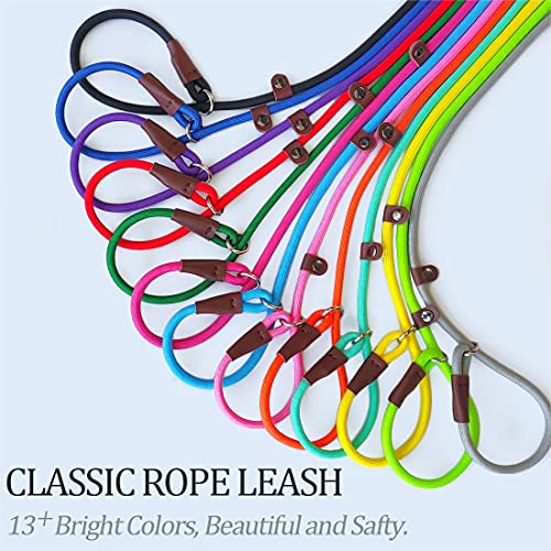 Best Slip Lead Dog Leash For Large Dogs Reviews