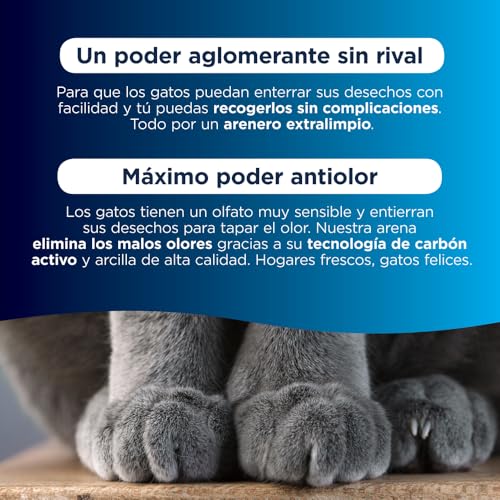 Ever Clean Extra Strong Clumping Cat Litter Reviews