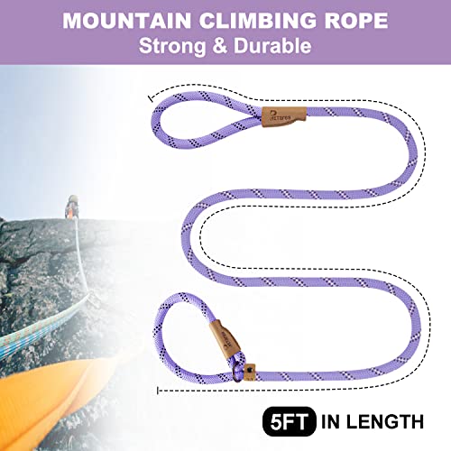 Top 5 Best Heavy Duty Slip Lead For Dogs