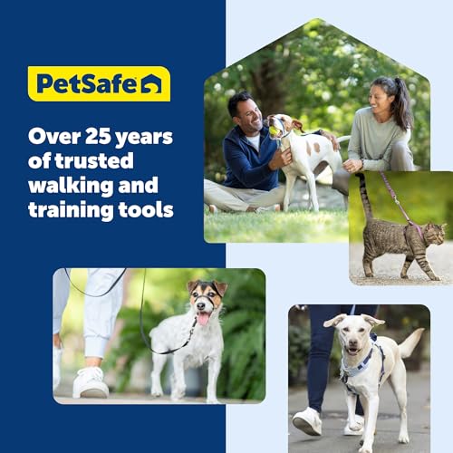 Top 5 Best Gentle Leader Dog Collar Reviews