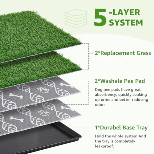 Best Indoor Dog Potty Pad For Large Dogs