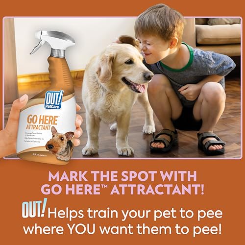 Best Dog Pee Pad Attractant Spray Reviews
