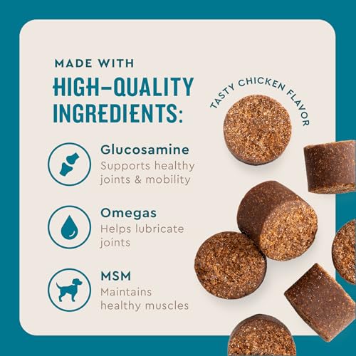 Best Hip And Joint Supplement For Large Dogs