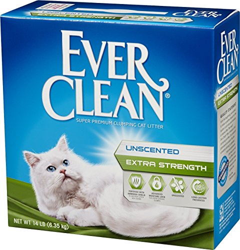 Ever Clean Clumping Cat Litter