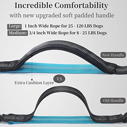 Best Dog Lead For Walking With Pram