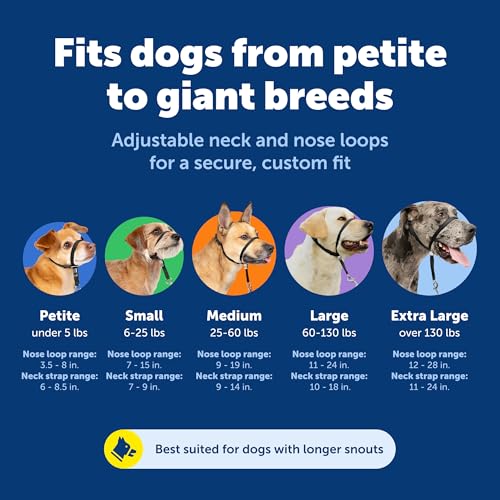 Top 5 Best Gentle Leader For Dogs Reviews