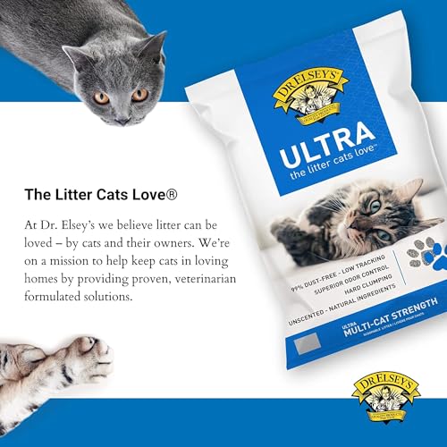 Unscented Clumping Cat Litter Reviews